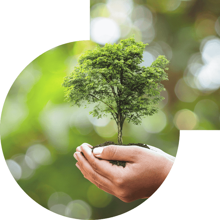 关怀人类、、、文化、、环境与社会